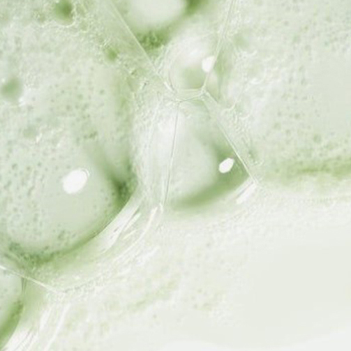 Trouble Shooter Foam Cleanser  (비건 클린징 폼)